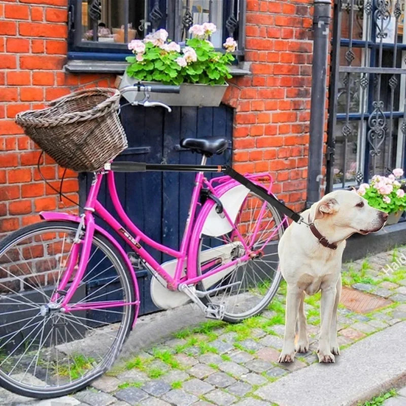 Bicycle leash holder – ride with your dog, hands-free
