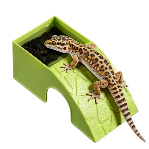 2-u-1 hranilica i sklonište za reptile – činija za hranu i vodu od smole