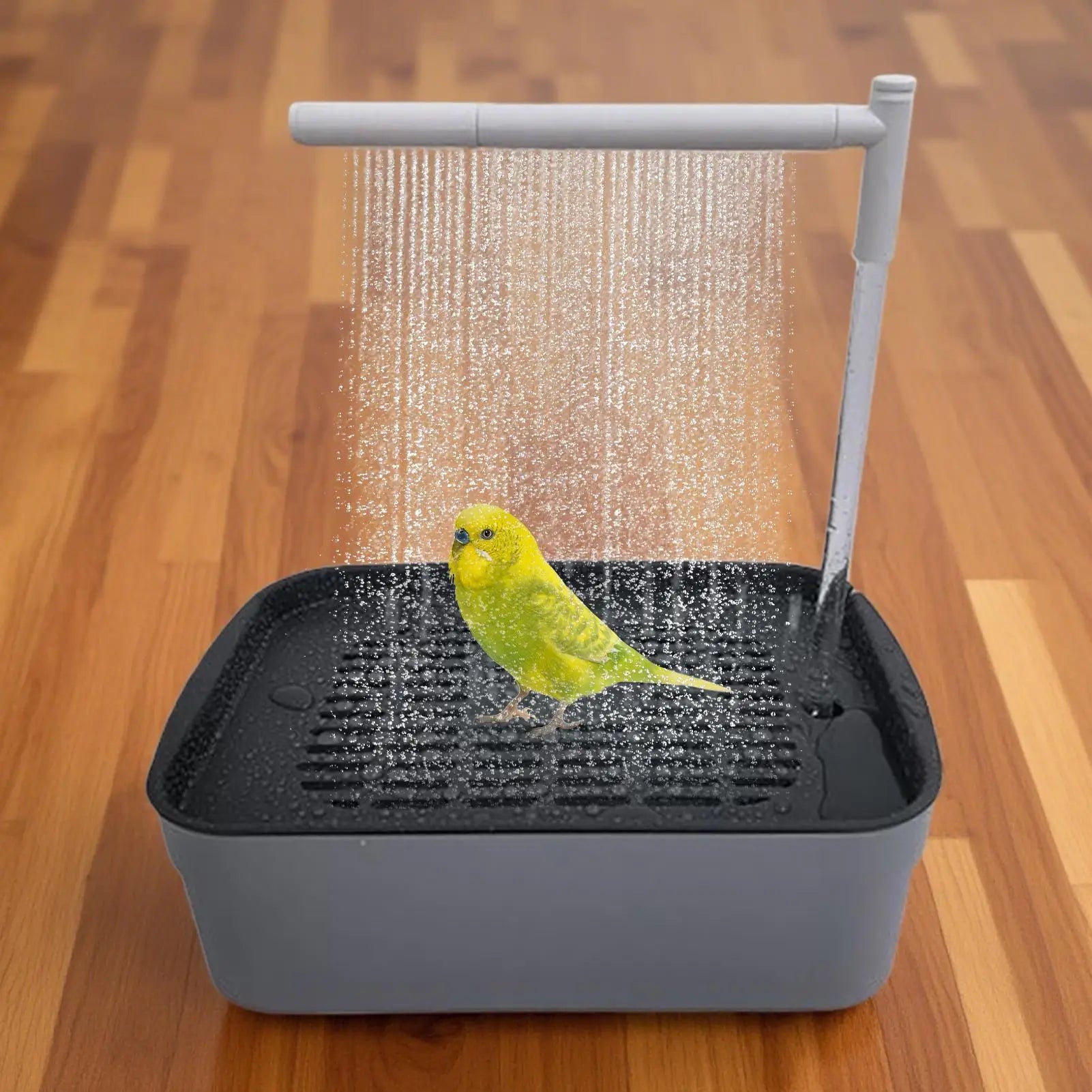 Automatic Bird Bath Tub – Water Circulation, Bird Shower