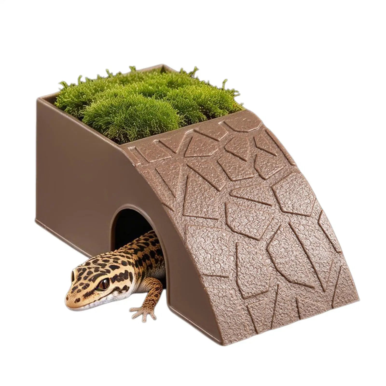 2-u-1 hranilica i sklonište za reptile – činija za hranu i vodu od smole