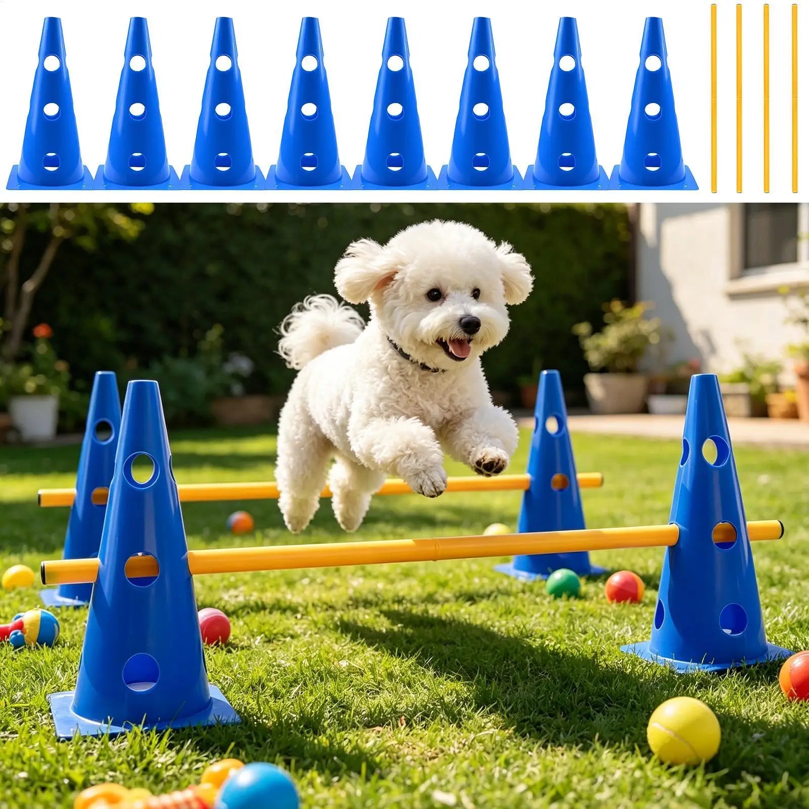 Set za agility trening pasa – čunjevi i prepone